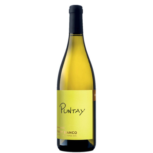 Alto Adige Pinot Bianco DOC “Puntay”  - Erste + Neue