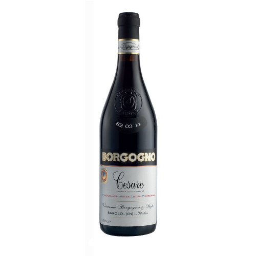 Vino Rosso “Cesare” - Borgogno